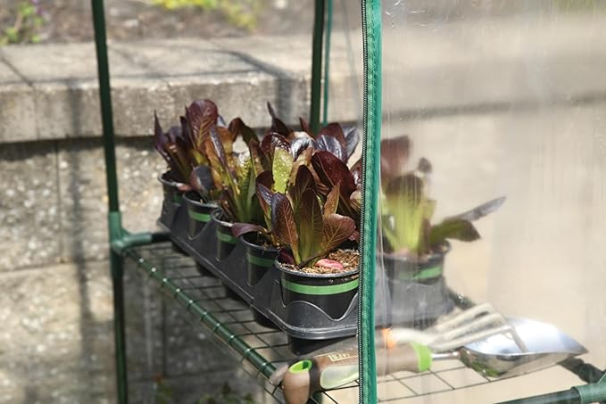 Miracle-Gro 4'8" x 29" x 6'5" All-Season Mini Walk-in Greenhouse with 4 Wire Shelves for Outdoors, Easy-Access and Durable, Translucent