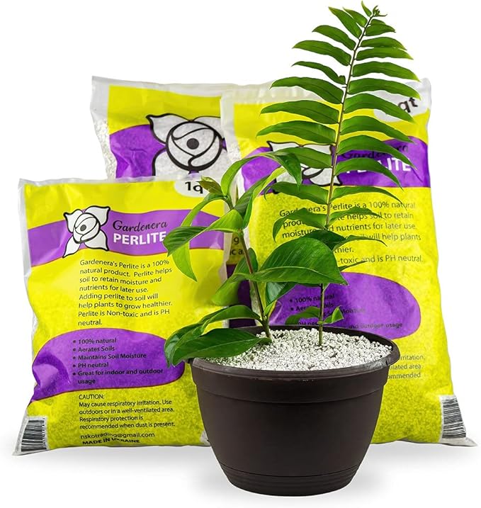 Premium Organic Perlite - (Made in Ukraine) Horticultural Soil Amendment for Indoor & Outdoor Container Plants for Drainage Management and Enhanced Growth - 2 Quart