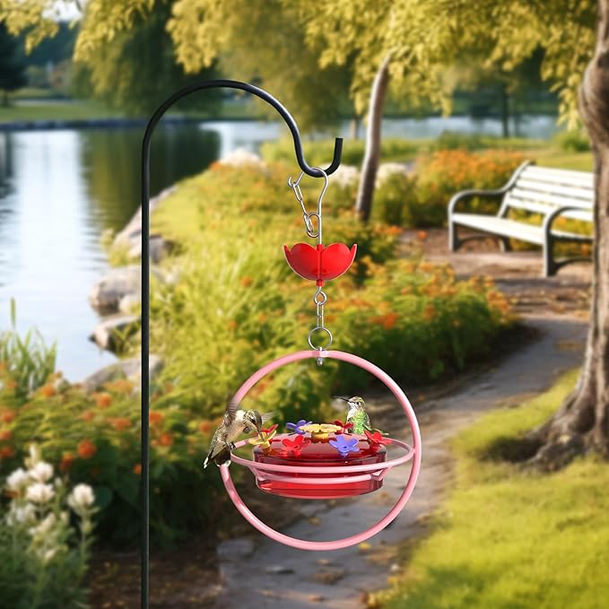 1 Pack Wide-Mouth Hummingbird Feeder for Outdoor Hanging, Nectar Bird Feeder with Ant Moat, Unique Gift