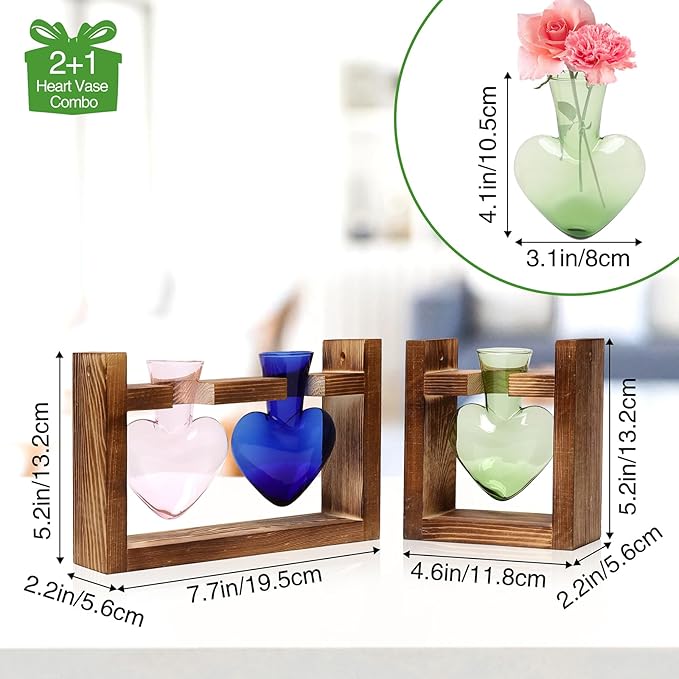 2+1 Plant Terrarium Plant Propagation Station Birthday Gifts for Women Home Office Decor with Wooden Stand