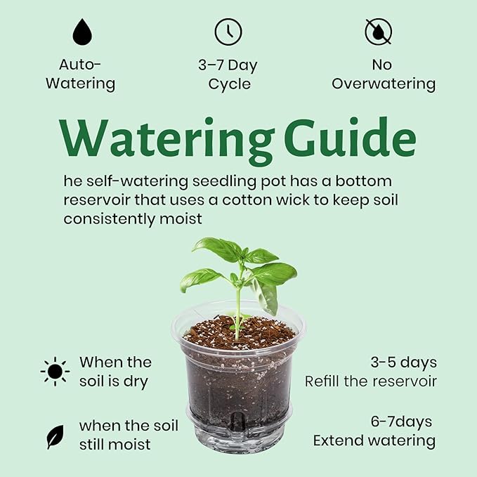 20 Pack 5 Inch Clear Self Watering Plant Pots with Bottom Water Tray & Watering Rope, Transparent Nursery Pots with Drainage for Seedlings, Herbs, and Houseplants