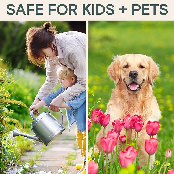 Organic Insecticide & Fungicide for Plants – Indoor & Outdoor Plant – Controls Powdery Mildew, Spider Mites, Aphids, Gnats & More – Safe Pesticide for Houseplant Insect Control, Vegetables & Lawns