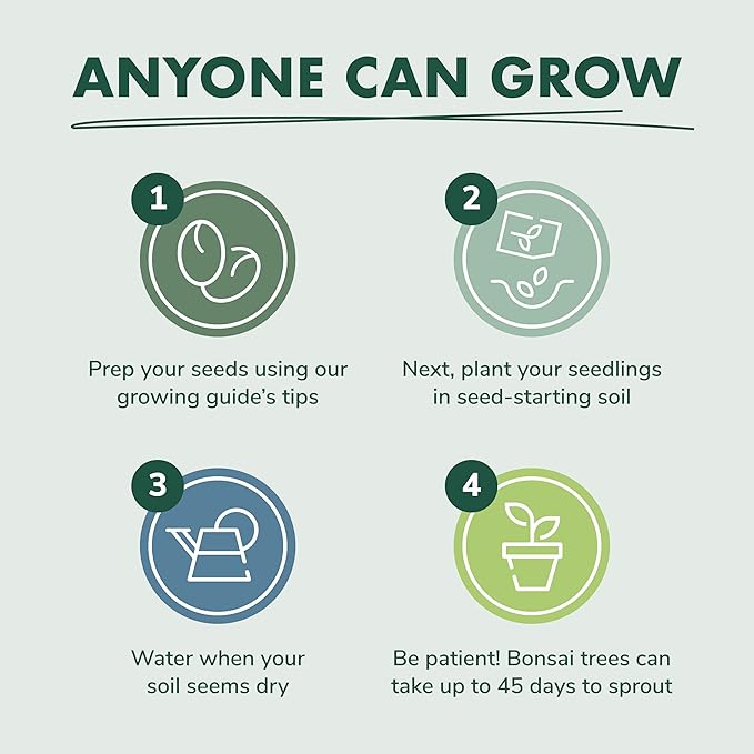 Garden Republic Bonsai Tree Kit - Mini Bonsai Seeds, 4 Types - Seed Starter Plant Growing Kit - Potting Soil Jute Bags Pruning Shears Scissor Tool Plant Markers - Gardening Gifts