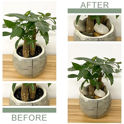 20 lbs Decorative Pebbles for Outdoor Landscaping, 1-2 inch Polished River Rocks for Plant Outdoor, Aquarium, Vase, Fish Tank Gravel, River Stones and Garden Rocks