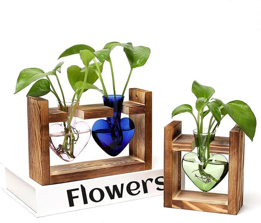 2+1 Plant Terrarium Plant Propagation Station Birthday Gifts for Women Home Office Decor with Wooden Stand