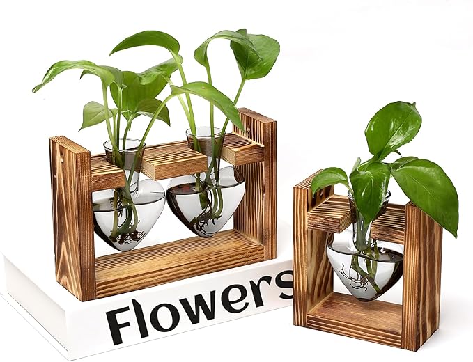 2+1 Plant Terrarium Plant Propagation Station Birthday Gifts for Women Home Office Decor with Wooden Stand
