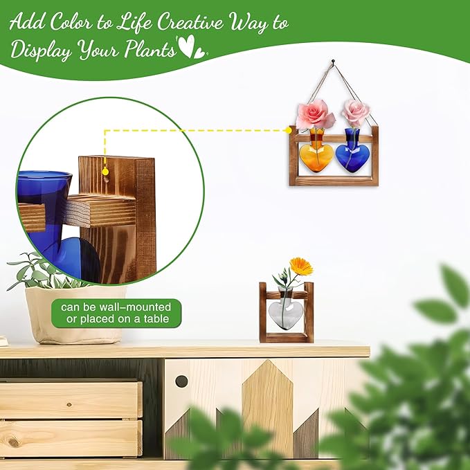 2+1 Plant Terrarium Plant Propagation Station Birthday Gifts for Women Home Office Decor with Wooden Stand
