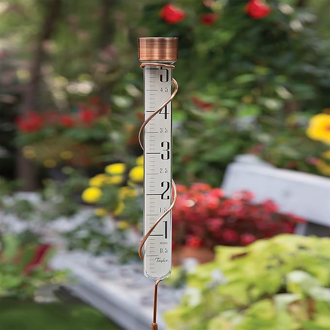 Taylor Heritage Collection Glass Rain Gauge, Measure and Monitor Precipitation, Easy to Read for Backyard, Patio, Garden, and Lawn, 5-inch, Bronze
