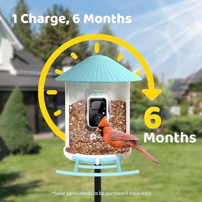 NETVUE by Birdfy Smart Bird Feeder with Camera, Bird Watching Camera, Auto Capture Video & Motion Detection, 1080P Live Steam, Cardinal Feeder Outdoor Wireless, Ideal Present for Backyard Birder, Blue
