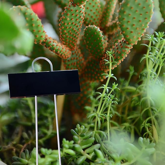 Plant Labels Metal Stainless Steel Garden Plant Markers Weatherproof Stake Tag Garden Plant Tags with Pen for Outdoor Seedling Flower Herb Vegetable Greenhouse(30 Pack) (Black)