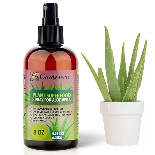 𝐁𝐄𝐒𝐓𝐒𝐄𝐋𝐋𝐄𝐑 Plant Superfood for Aloe Vera Plants with B1 Vitamin, Glucose and Essential Minerals - Organic Plant Food Fertilizer for Indoor & Outdoor Aloe Vera Plant Care - 8oz