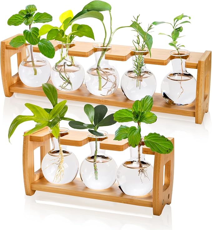 2 Pack Plant Propagation Stations, Desktop Plants Terrarium with Wooden Stand, Water Propagation Station, Hydroponic Plant Vase with 8 Glass Bulbs, Small Propagated Plants Jar for Home Office
