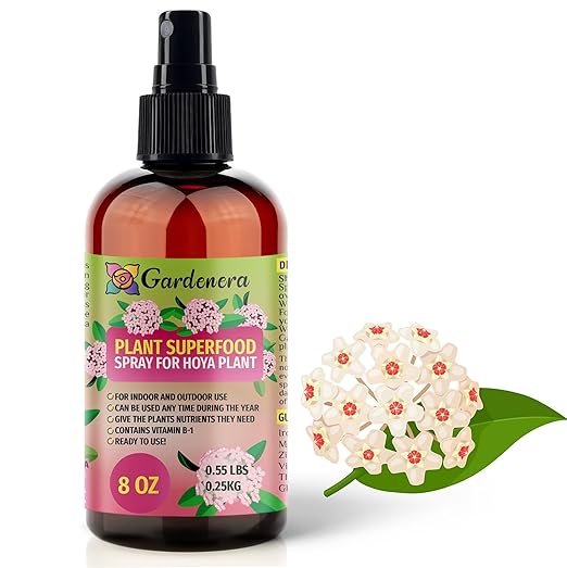 𝐁𝐄𝐒𝐓𝐒𝐄𝐋𝐋𝐄𝐑 Plant Superfood for Hoya Plants with B1 Vitamin, Glucose and Essential Minerals - Organic Plant Food Fertilizer for Indoor & Outdoor Hoya Plant Care - 8oz