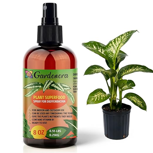 𝐁𝐄𝐒𝐓𝐒𝐄𝐋𝐋𝐄𝐑 Plant Superfood for DIEFFENBACHIA Plants with B1 Vitamin, Glucose and Essential Minerals - Organic Plant Food Fertilizer for Indoor & Outdoor Dumb Cane Plants - 8oz