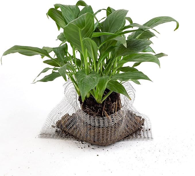 2 Packs 15 Gallon Root Guard Gopher Proof Wire Basket Mole and Vole Mesh Wire Baskets Underground Stainless Steel Wire for Plants