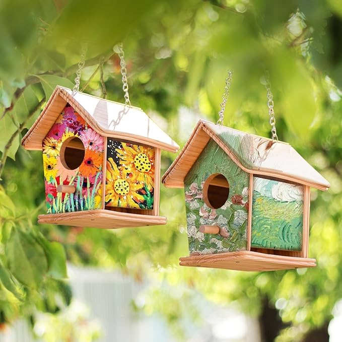 2025 New 2pc DIY Birdhouse Kit for Kids, Cedar Wood Bird House Kits Bulk for Kids and Adults, Art Craft Outdoor Birdhouse, Solid Wood Weather Proof Material Painting Kit