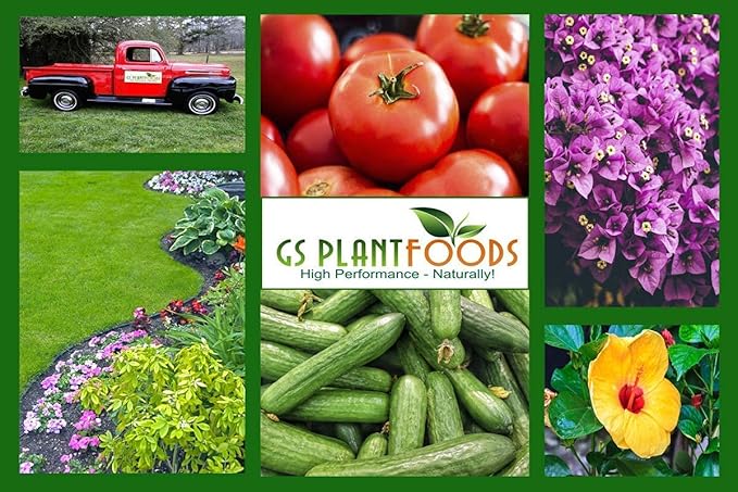 GS Plant Foods Yucca Extract - Natural Wetting Agent & Soil Loosener (8 oz Concentrate) - Enhances Water Absorption for Plants, Lawns & Soil