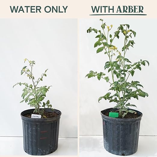 Organic Food & Fertilizer – Liquid Nutrients for Houseplants, Indoor & Outdoor Growth, House Fertilizer for Vegetables, Flowers, Monstera, Bougainvillea, Money Tree - (Organic Nutrition & Health Set)