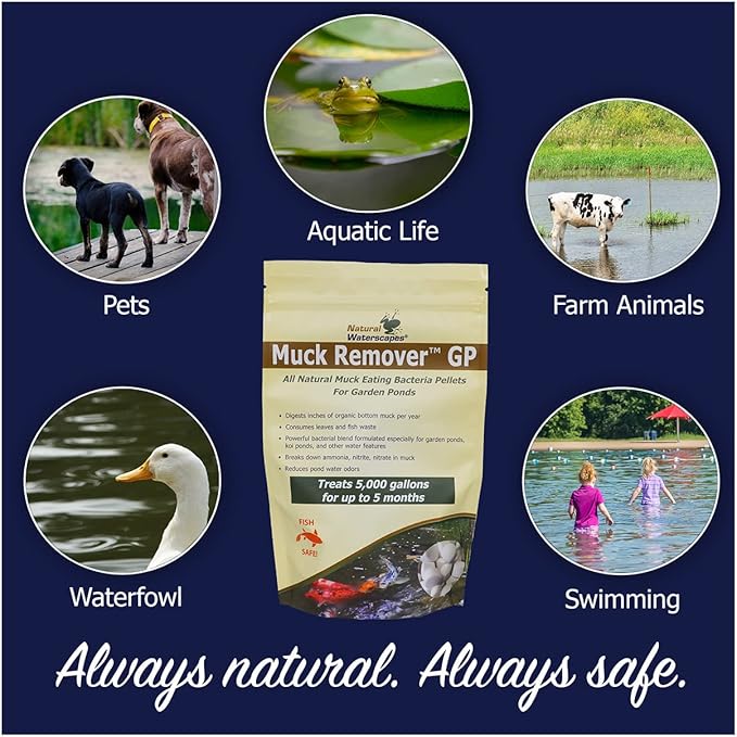 Muck Remover GP - 150 Pellets | Koi Pond Sludge Remover | Safe for Fish | Treats 5,000 Gallons up to 5 Months