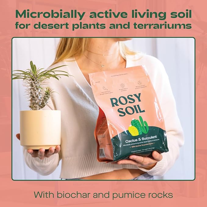 Rosy Soil Cactus and Succulent Potting Soil Mix for Houseplants - Fast Draining Organic Potting Soil for Succulents, AloeVera, Indoor Plant - Root Boosting for Drought Tolerant Growth, Pack of 2