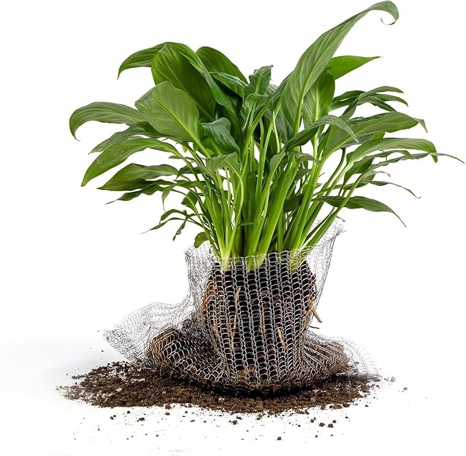 2 Packs 15 Gallon Root Guard Gopher Proof Wire Basket Mole and Vole Mesh Wire Baskets Underground Stainless Steel Wire for Plants