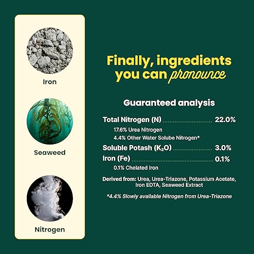 Sunday Green Machine Fertilizer, 42.3oz, 2 Pack - Liquid Lawn Fertilizer for Lush Growth - Includes Universal Sprayer Attachment - Covers Up to 10,000 Sq Ft - Easy Application in 15 Minutes or Less