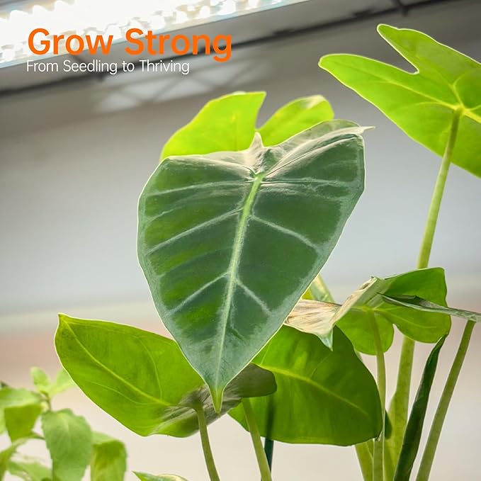 Indoor Greenhouse with Grow Light, Mini Green house with 5 Pack T8 Full Spectrum Plant Lights, Plant Shelf with Tent for Indoor Plant, Seed Starting, Seed Tray, 29.5"x13.8"x71"