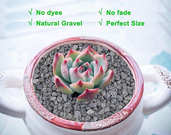 2lb Black Horticultural Lava Rock Soil Additive for Cacti, Vase Fillers, Succulents and Terrarium Plants - No Dyes or Chemicals - 100% Pure Volcanic Rock