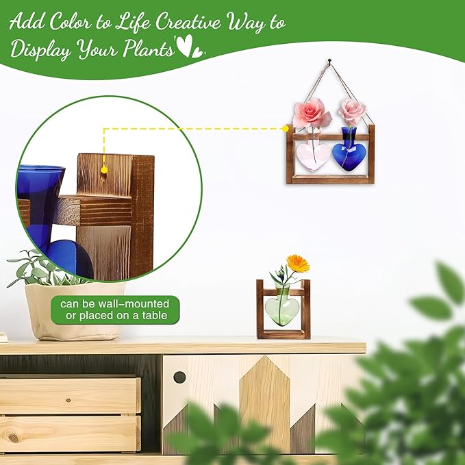 2+1 Plant Terrarium Plant Propagation Station Birthday Gifts for Women Home Office Decor with Wooden Stand