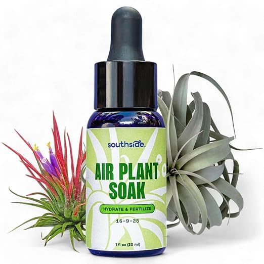 Air Plant Fertilizing Concentrated Soak by Southside Plants - Fertilizer Mist for Houseplants, Weekly Plant Food - Gentle Mist Formula for Miracle Feed & Grow - 1 oz
