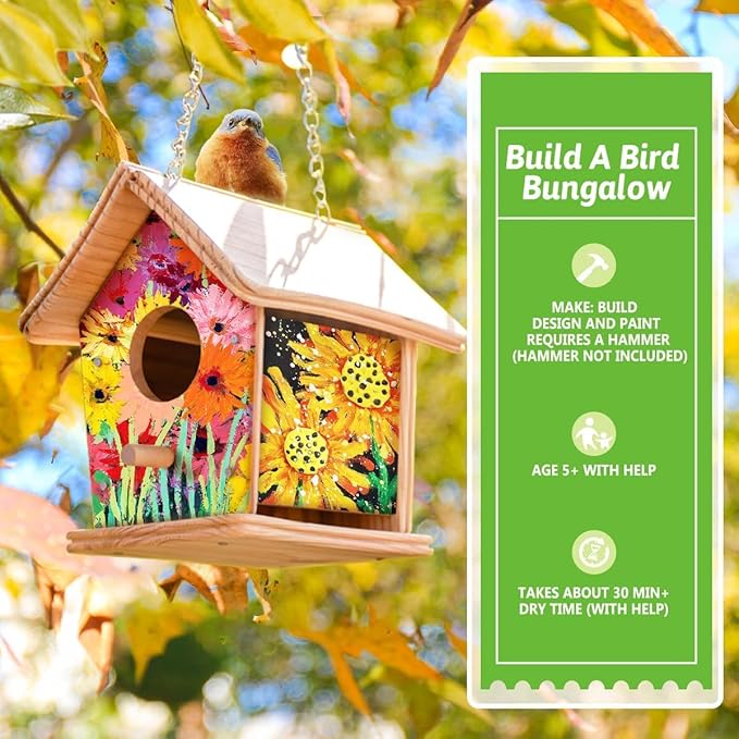 2pc DIY Birdhouse Kit for Kids, Cedar Wood Bird House Kits Bulk for Kids and Adults, Art Craft Outdoor Birdhouse, Solid Wood Weather Proof Material Painting Kit, Chain for Tree Hanging Age 8+
