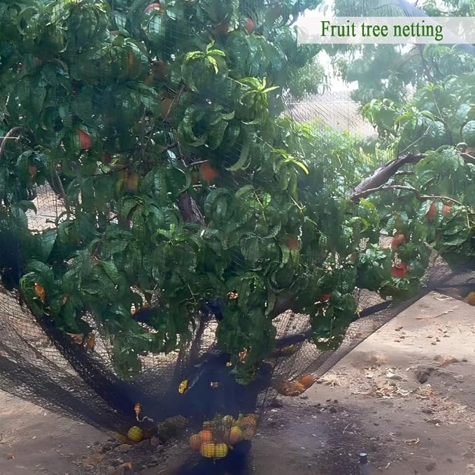 25X50 FT Bird Netting for Chicken Coop, 1 in Mesh, Woven Chicken Netting Roof Mesh Cover Garden Protection for Vegetables, Blueberry, Strawberry Plants, Fruit Trees.