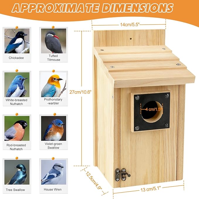 2 Pack Wood Bird Houses for Outside with Paint Set for Bluebird Finch Swallow Wren Chickadee, Crafts & DIY Birdhouse Kits for Adults & Kids to Build