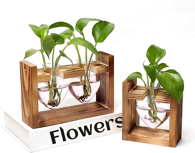 2+1 Plant Terrarium Plant Propagation Station Birthday Gifts for Women Home Office Decor with Wooden Stand