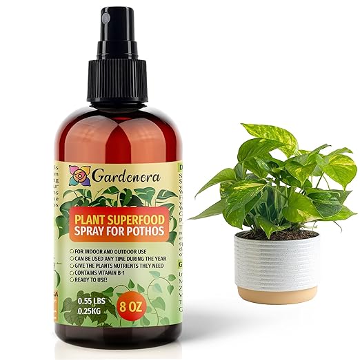 𝐁𝐄𝐒𝐓𝐒𝐄𝐋𝐋𝐄𝐑 Plant Superfood for POTHOS Plants with B1 Vitamin, Glucose and Essential Minerals - Organic Plant Food Fertilizer for Indoor & Outdoor POTHOS Plant Care - 8oz