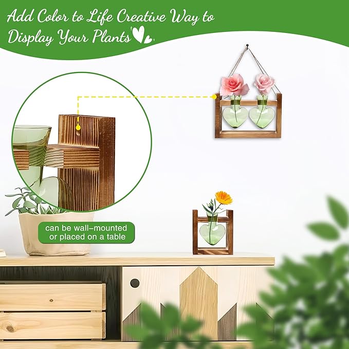 2+1 Plant Terrarium Plant Propagation Station Birthday Gifts for Women Home Office Decor with Wooden Stand