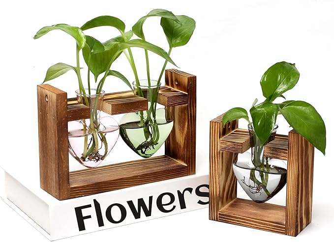 2+1 Plant Terrarium Plant Propagation Station Birthday Gifts for Women Home Office Decor with Wooden Stand