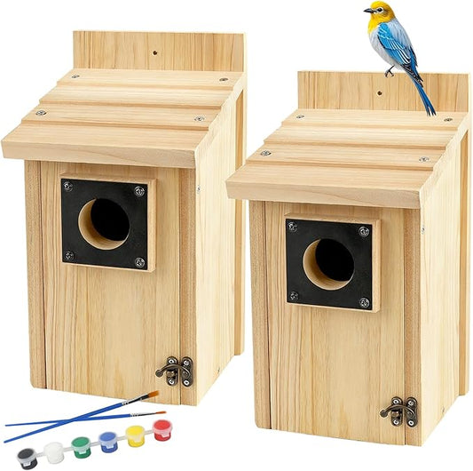 2 Pack Wood Bird Houses for Outside with Paint Set for Bluebird Finch Swallow Wren Chickadee, Crafts & DIY Birdhouse Kits for Adults & Kids to Build