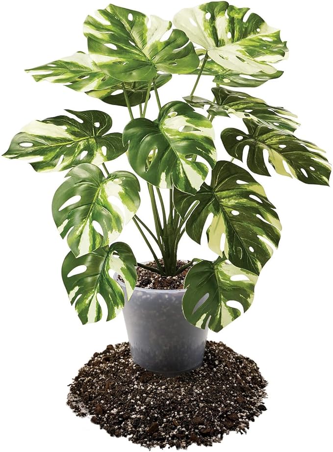 Premium Aroid Potting Mix - Soil Free Blend for Aroids - Growing Medium for House Plants by Gardenera - (4 Quart Bag)