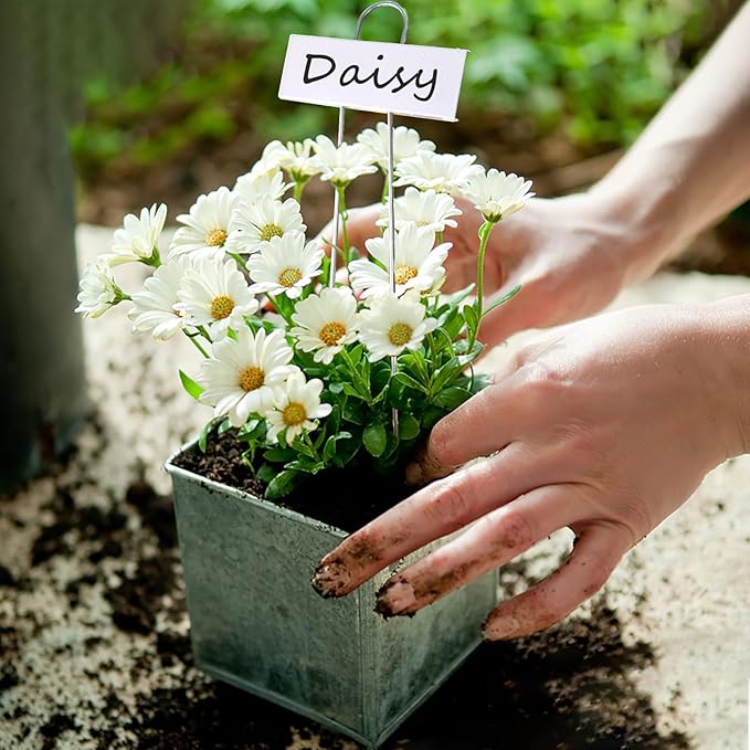 Plant Labels Metal Stainless Steel Garden Plant Markers Weatherproof Garden Stake Tag Plant Tags with Pen for Outdoor Seedling Flower Herb Vegetable Greenhouse(30 Pack) (White)