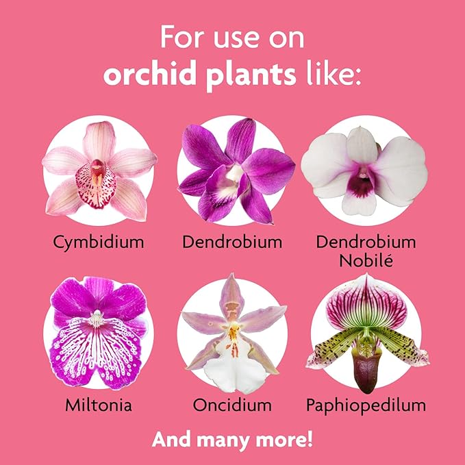 Miracle-Gro Ready to Use Orchid Plant Food Mist, Feeds All Types of Indoor Orchid Plants, 8 oz.