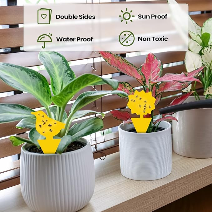 200 Sheets Fruit Fly Sticky Traps for Fruit Fly Gnat Trap for House Indoors Sticky Traps Catcher for Gnats Fungus Gnats Mosquito Catcher for Kitchen Outdoor Plants(Yellow)