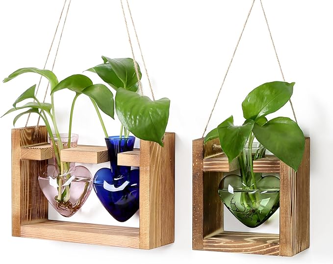 2+1 Plant Terrarium Plant Propagation Station Birthday Gifts for Women Home Office Decor with Wooden Stand