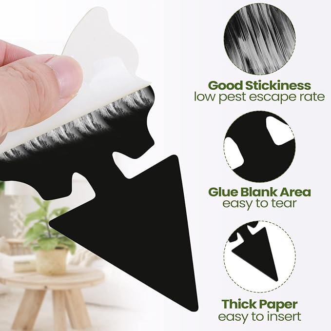 200 Sheets Fruit Fly Sticky Traps for Fruit Fly Gnat Trap for House Indoors Sticky Traps Catcher for Gnats Fungus Gnats Mosquito Catcher for Kitchen Outdoor Plants(Black)