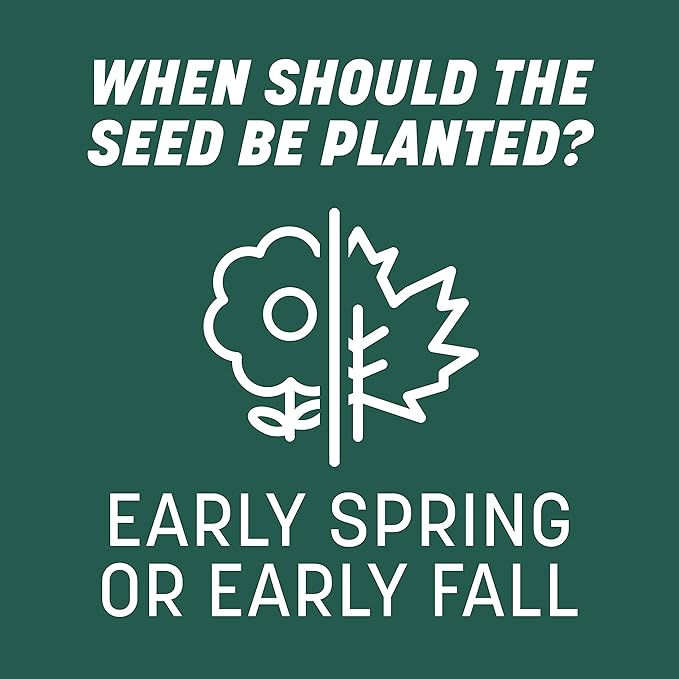 Pennington Smart Seed Sun and Shade Grass Mix 20 lb, Black Label