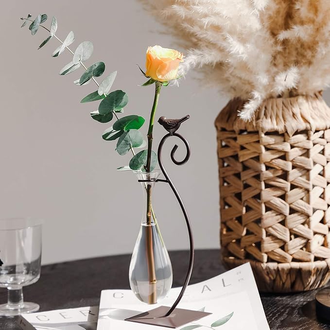 Marbrasse Desktop Glass Planter Hydroponics Vase,Planter Bulb Vase with Holder for Home Decoration,Modern Creative Bird Plant Terrarium Stand, Scindapsus Container (Water Drop Vase)