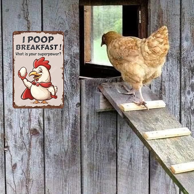 Metal Signs I Poop Breakfast What Is Your Superpower Chicken Farm Sign Vintage Aluminum Sign for Home Office Kitchen Bar Cafe Garden Wall Decor 12x8 Inch