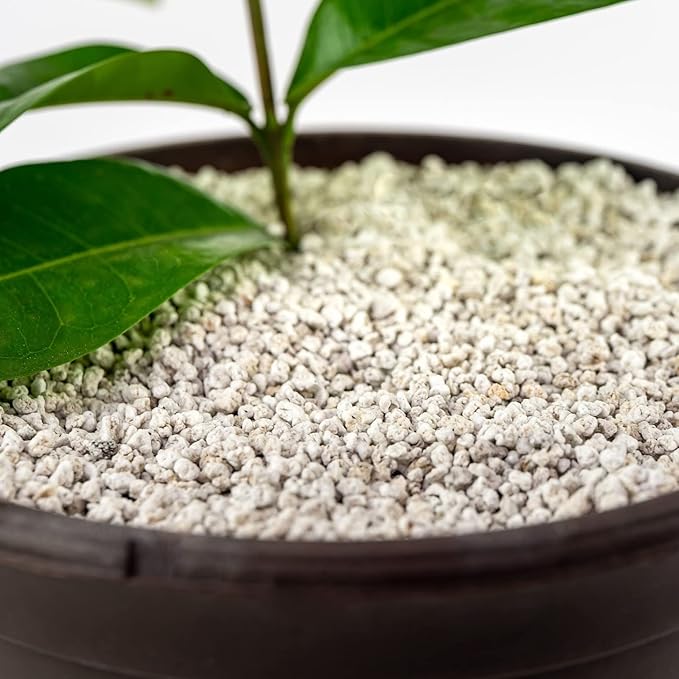 Premium Organic Perlite - (Made in Ukraine) Horticultural Soil Amendment for Indoor & Outdoor Container Plants for Drainage Management and Enhanced Growth - 4 Quart