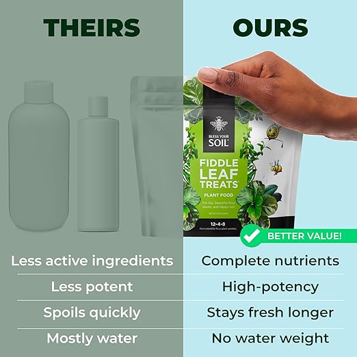 Fiddle Leaf Fig Plant Food - Fiddle Leaf Treats | Urea-Free Fertilizer | Fast Acting for Bigger Leaves and Stress Tolerance, 4X More Concentrated Than Liquid Plant Food | for All Ficus Plants