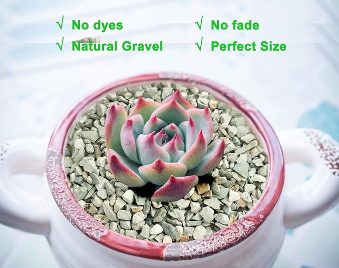 2lb Succulents and Cactus Green Zeolite, Décor & Additive Rocks, Natural Decorative Gravel for Bonsai, Fairy Gardening, DIY Projects, Vases Fillers, Terrarium